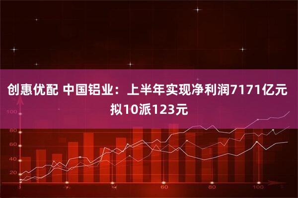 创惠优配 中国铝业：上半年实现净利润7171亿元 拟10派123元