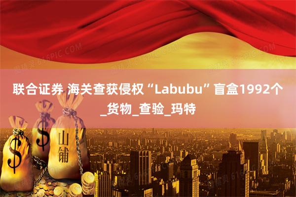 联合证券 海关查获侵权“Labubu”盲盒1992个_货物_查验_玛特