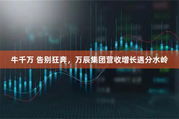 牛千万 告别狂奔，万辰集团营收增长遇分水岭